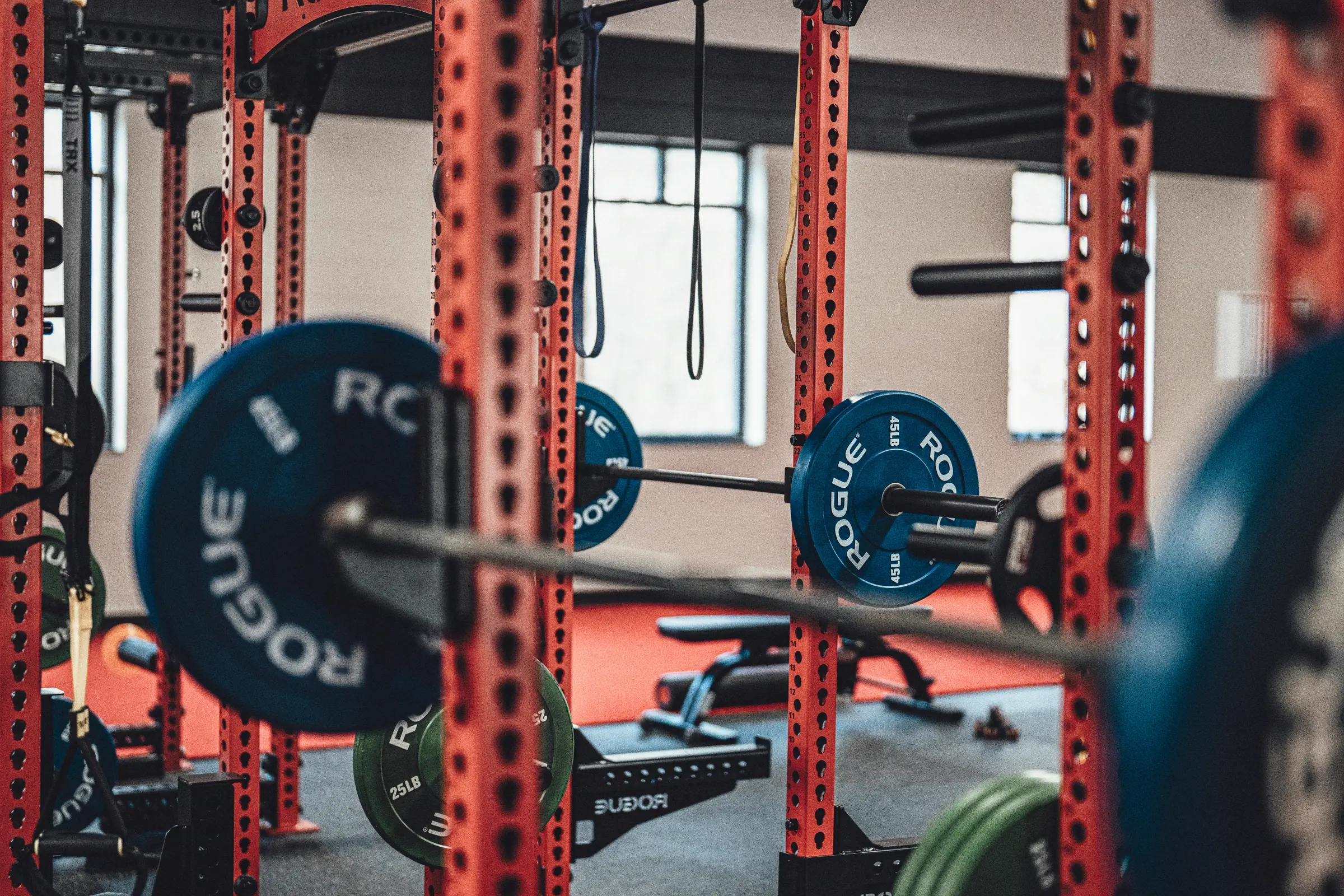 A quiet home gym at first light, squat racks waiting